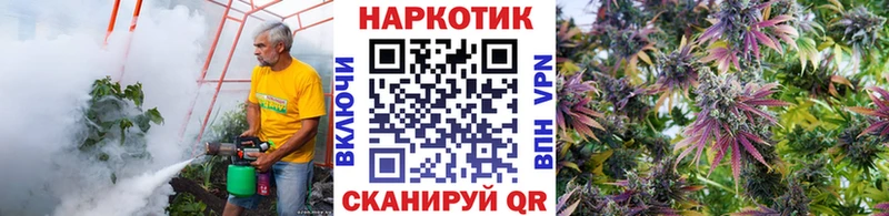 Где найти наркотики Кяхта Кокаин Мефедрон Амфетамин Каннабис ГАШ