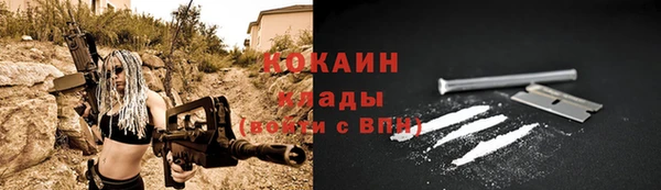 твердый Коряжма