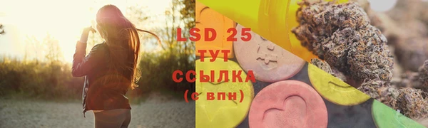 ПСИЛОЦИБИНОВЫЕ ГРИБЫ Кукмор