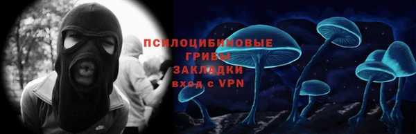 ПСИЛОЦИБИНОВЫЕ ГРИБЫ Кукмор