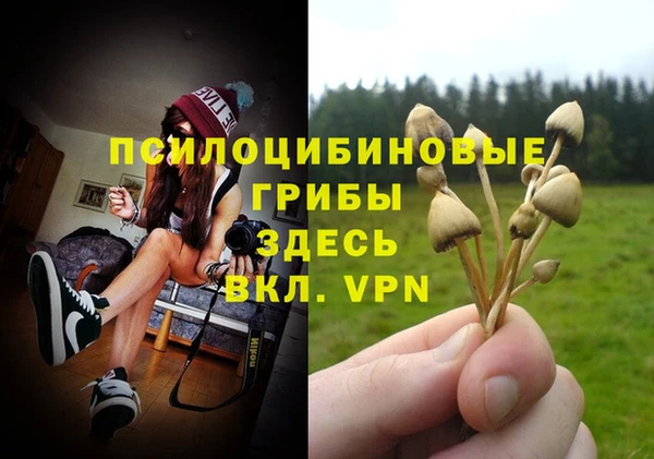 MDMA Корсаков