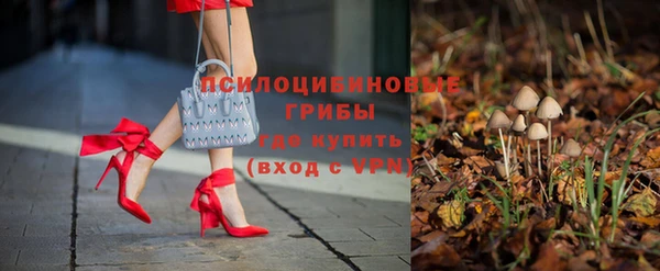 ПСИЛОЦИБИНОВЫЕ ГРИБЫ Кукмор