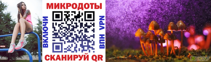 Галлюциногенные грибы Cubensis Кяхта
